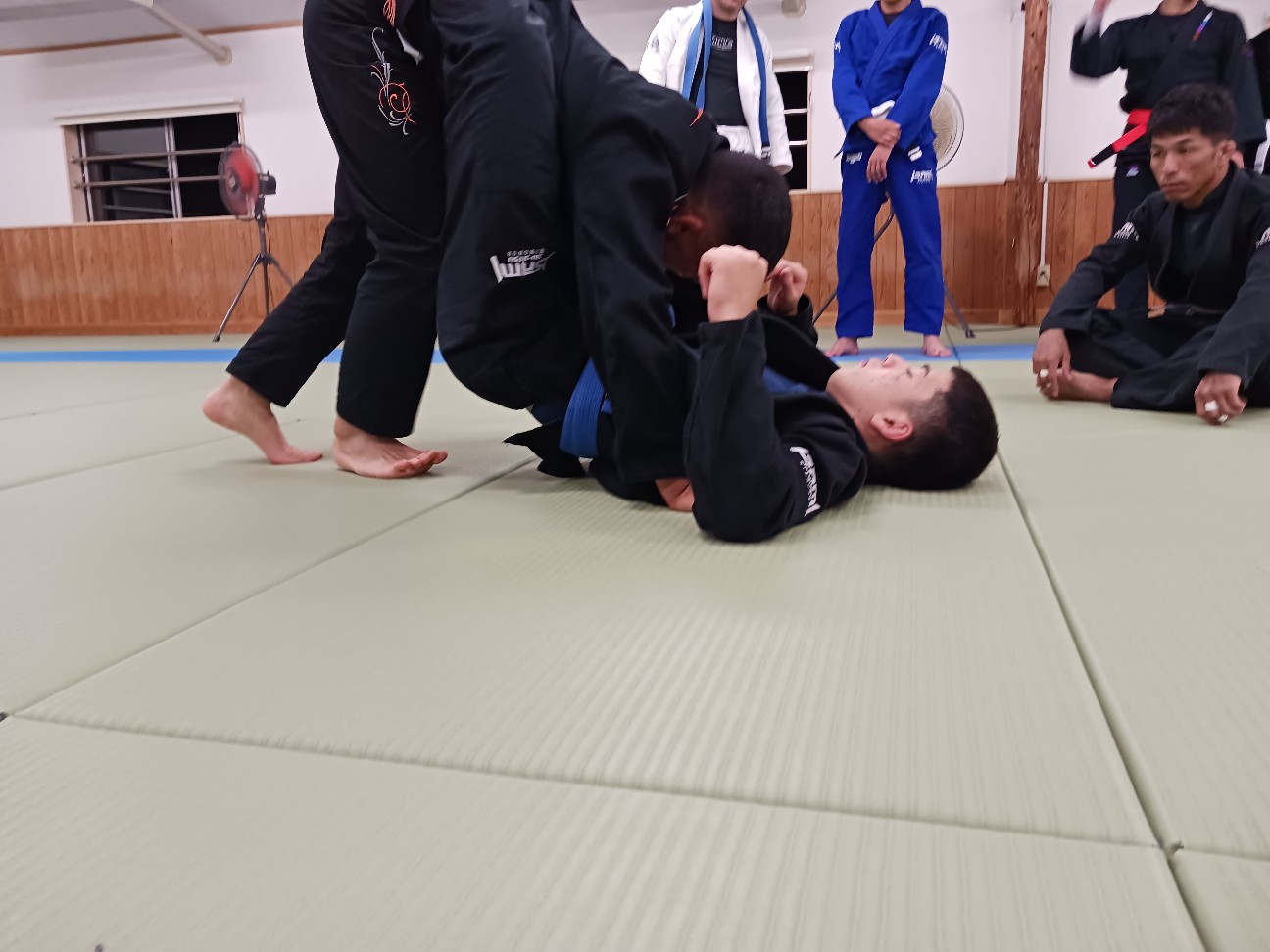 f:id:ALLONEBJJ:20261003225339j:image