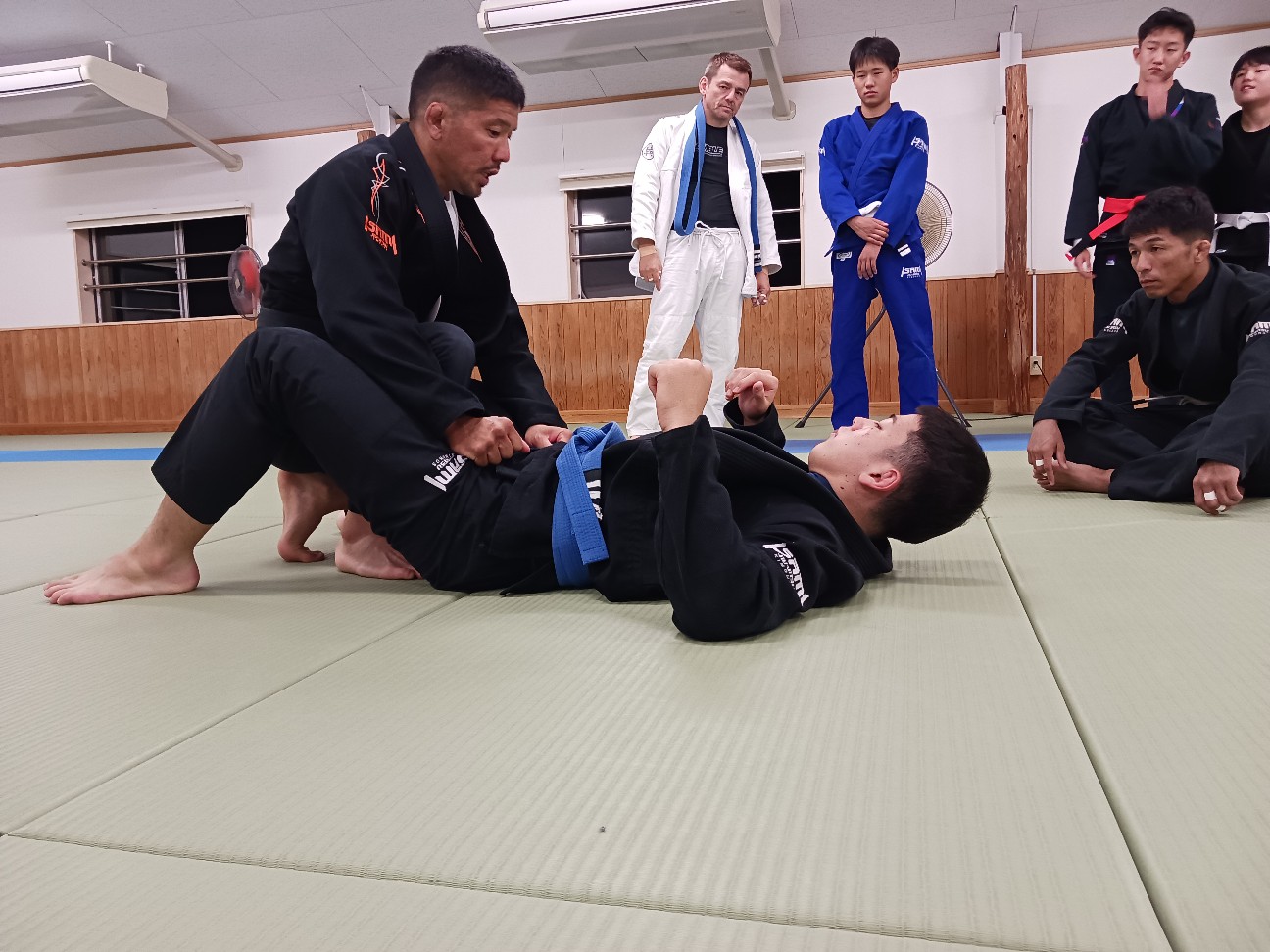 f:id:ALLONEBJJ:20261003225342j:image