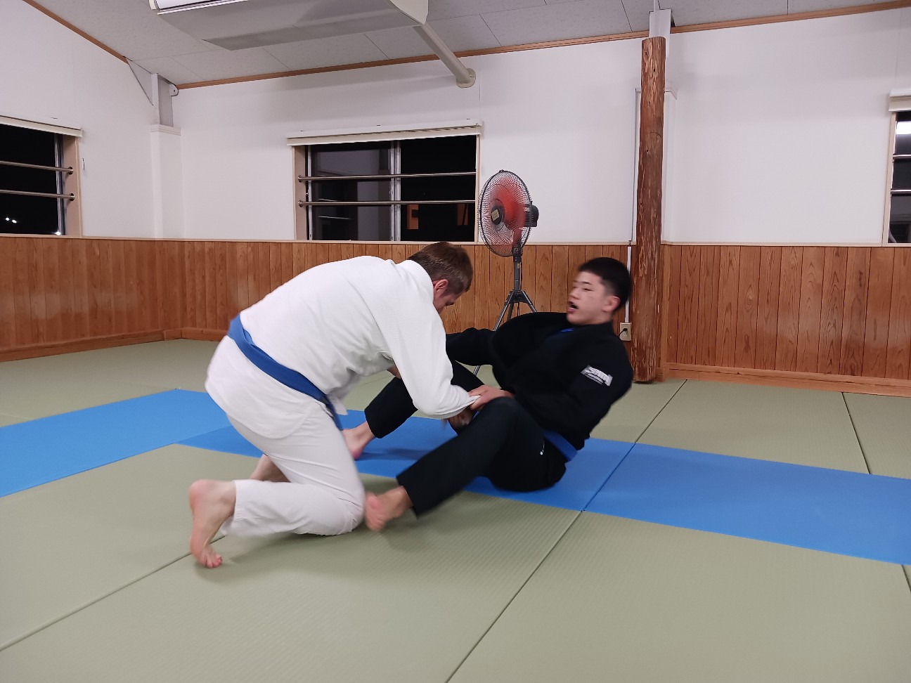 f:id:ALLONEBJJ:20261003225435j:image