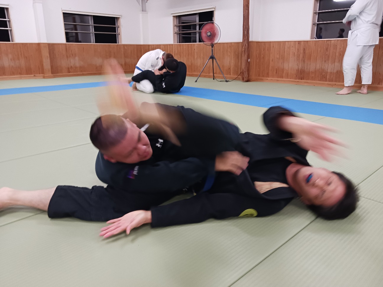 f:id:ALLONEBJJ:20261003225436j:image