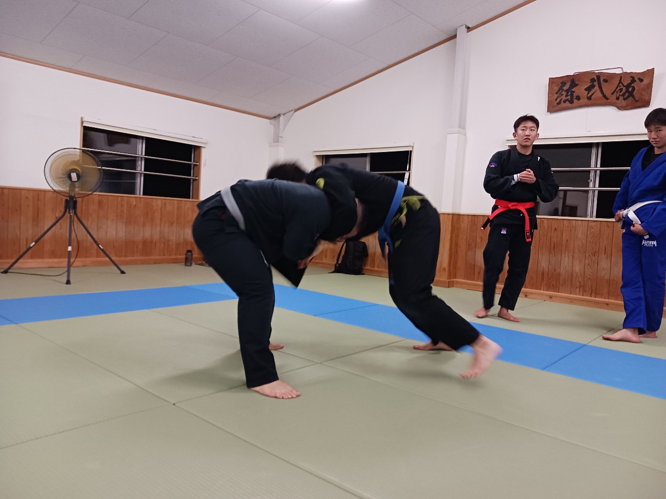 f:id:ALLONEBJJ:20261003225440j:image