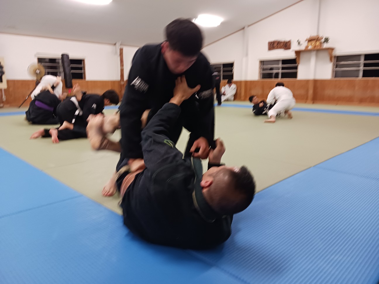 f:id:ALLONEBJJ:20261003225445j:image