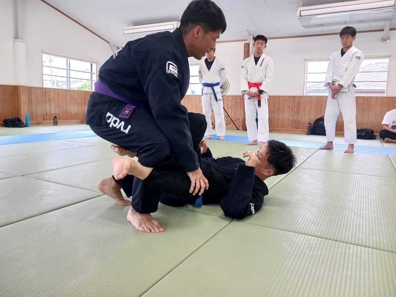 f:id:ALLONEBJJ:20261006160059j:image