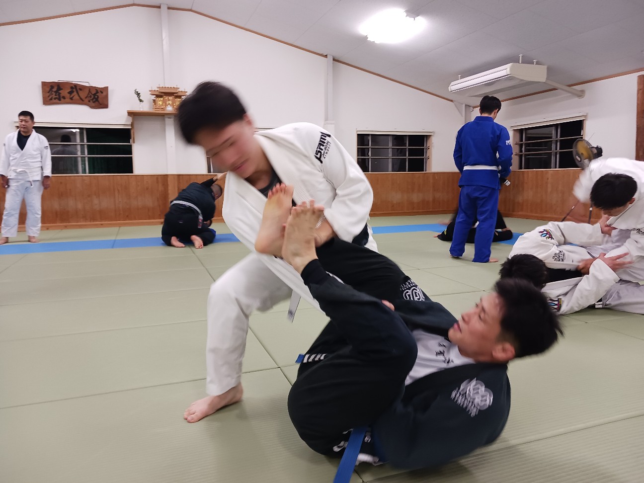 f:id:ALLONEBJJ:20261008085137j:image