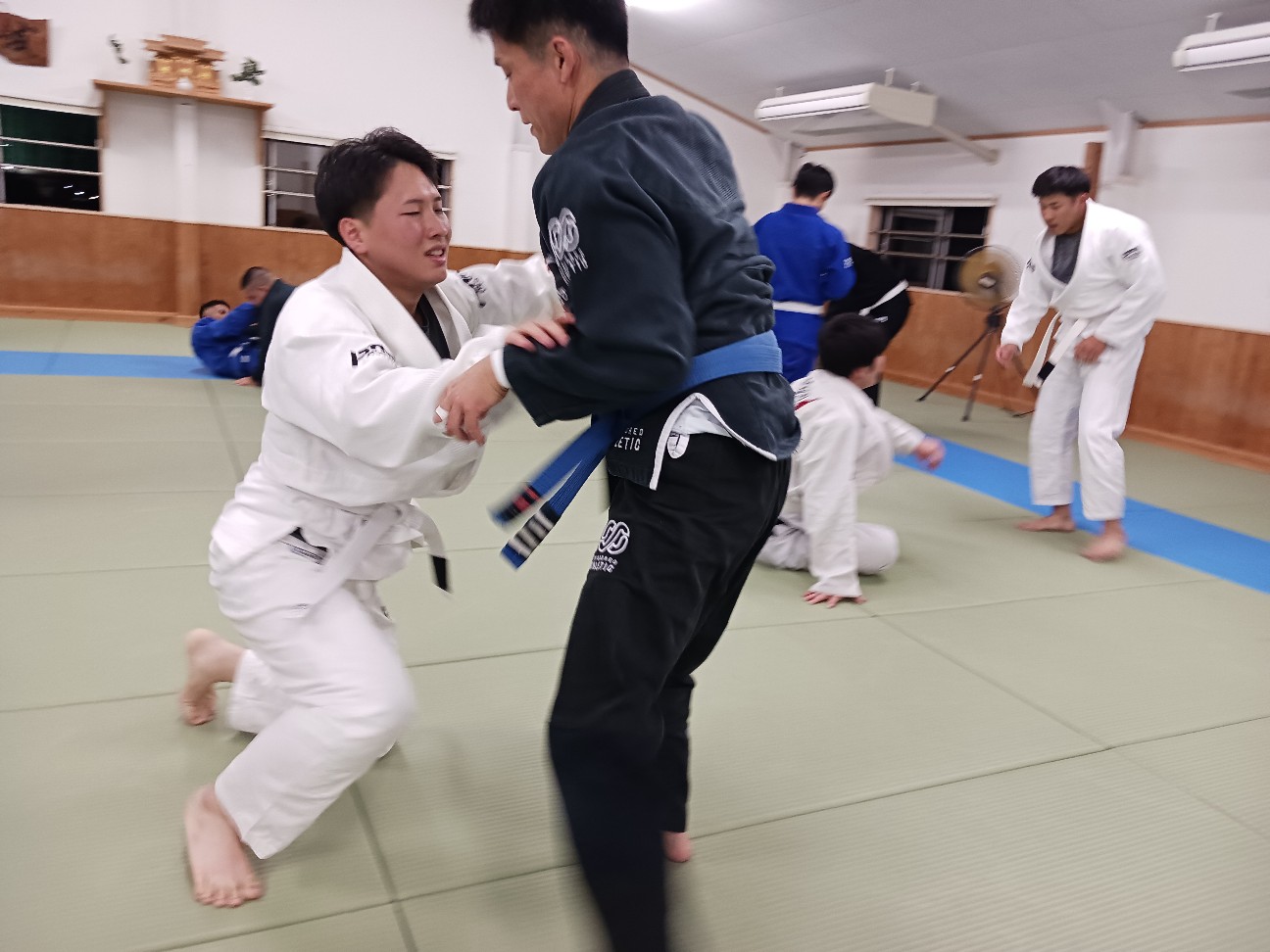 f:id:ALLONEBJJ:20261008085138j:image