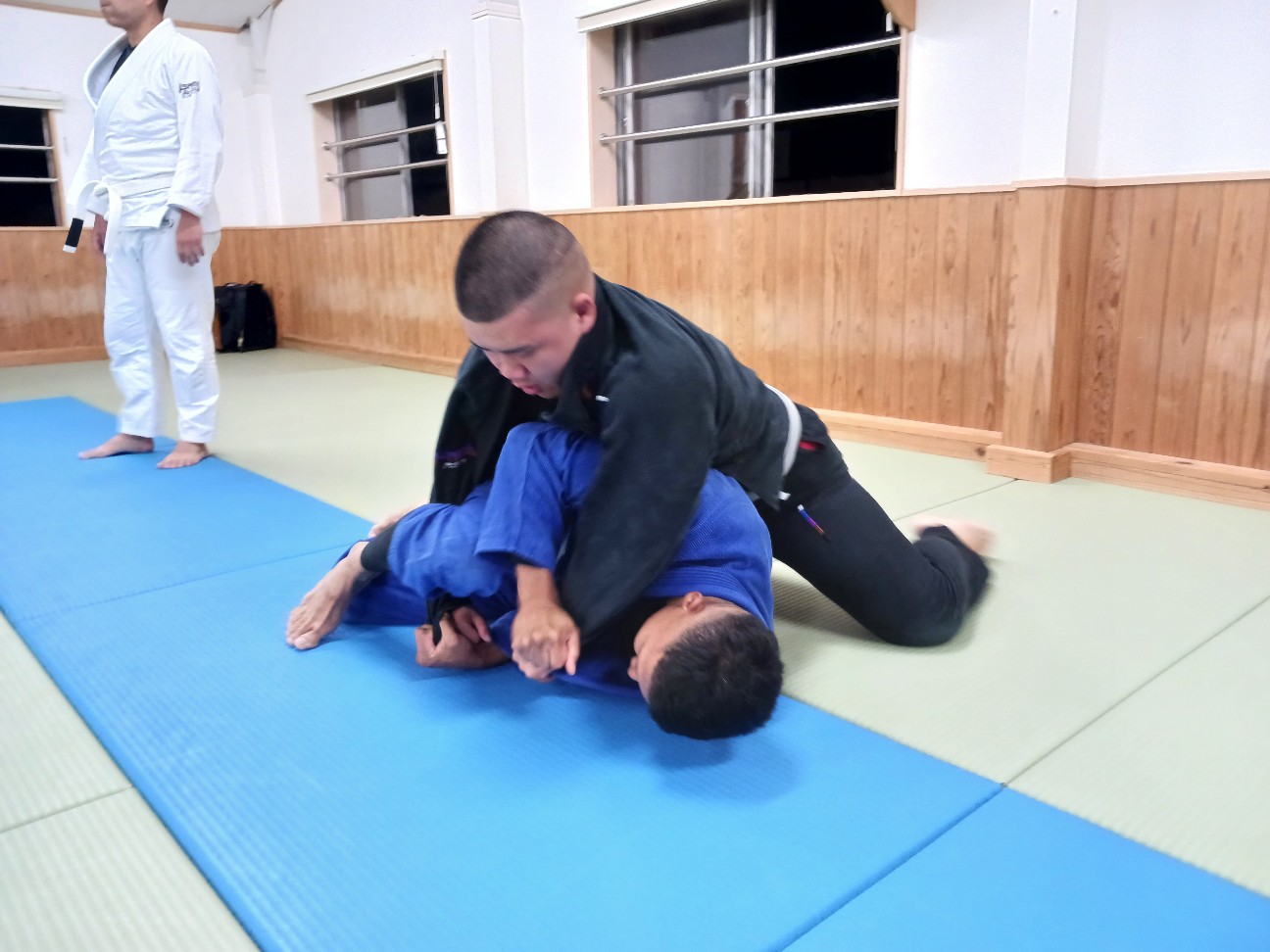f:id:ALLONEBJJ:20261008085150j:image