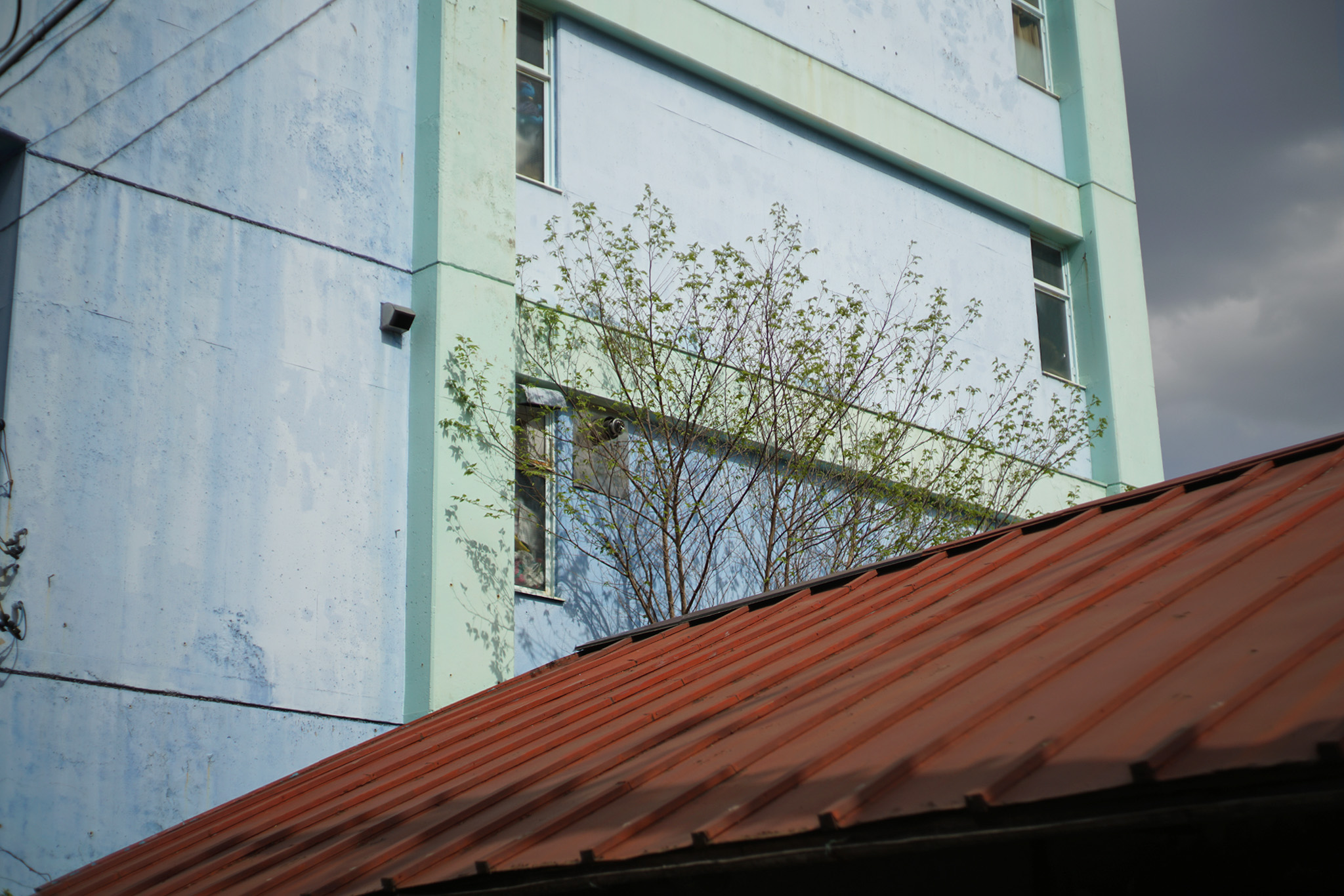 f:id:ALNEA:20190308014911j:plain f:id:ALNEA:20190308014911j:plain