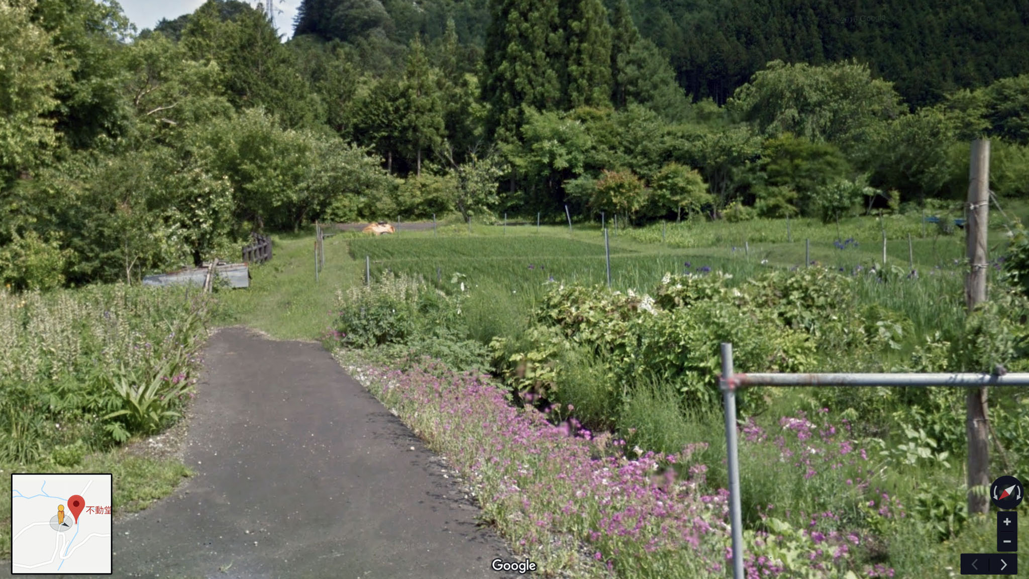 f:id:ALNEA:20190312164323j:plain f:id:ALNEA:20190312164323j:plain