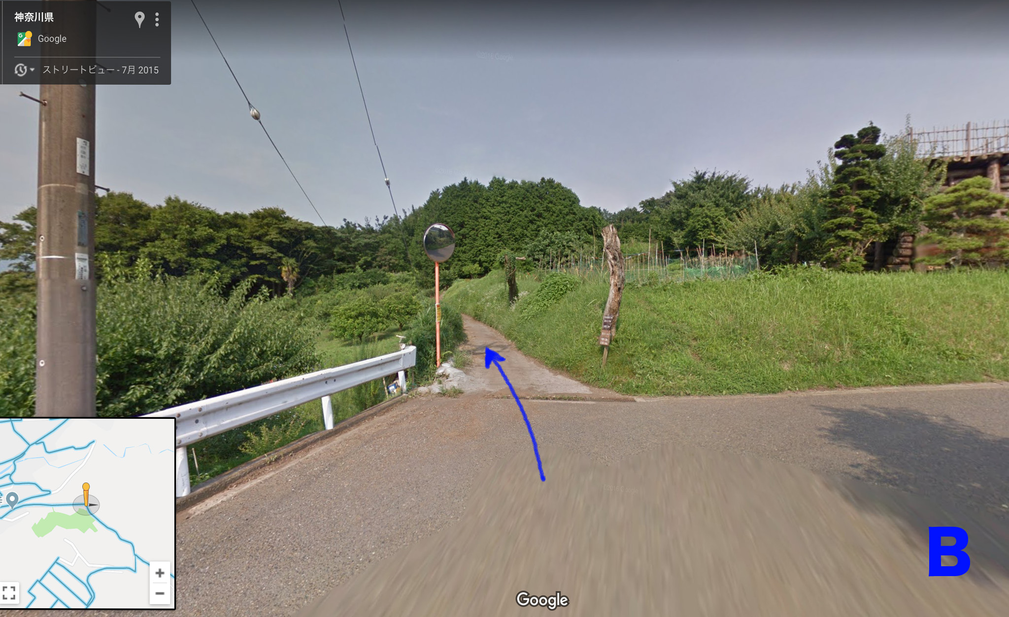 f:id:ALNEA:20190324011253j:plain f:id:ALNEA:20190324011253j:plain