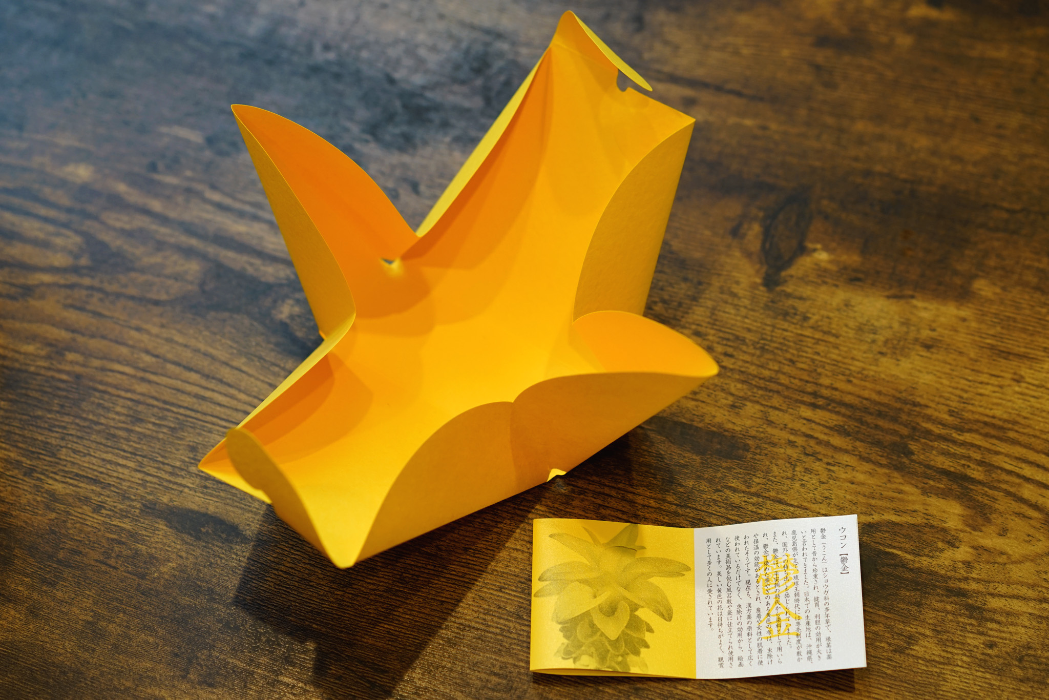 f:id:ALNEA:20190805164713j:plain f:id:ALNEA:20190805164713j:plain
