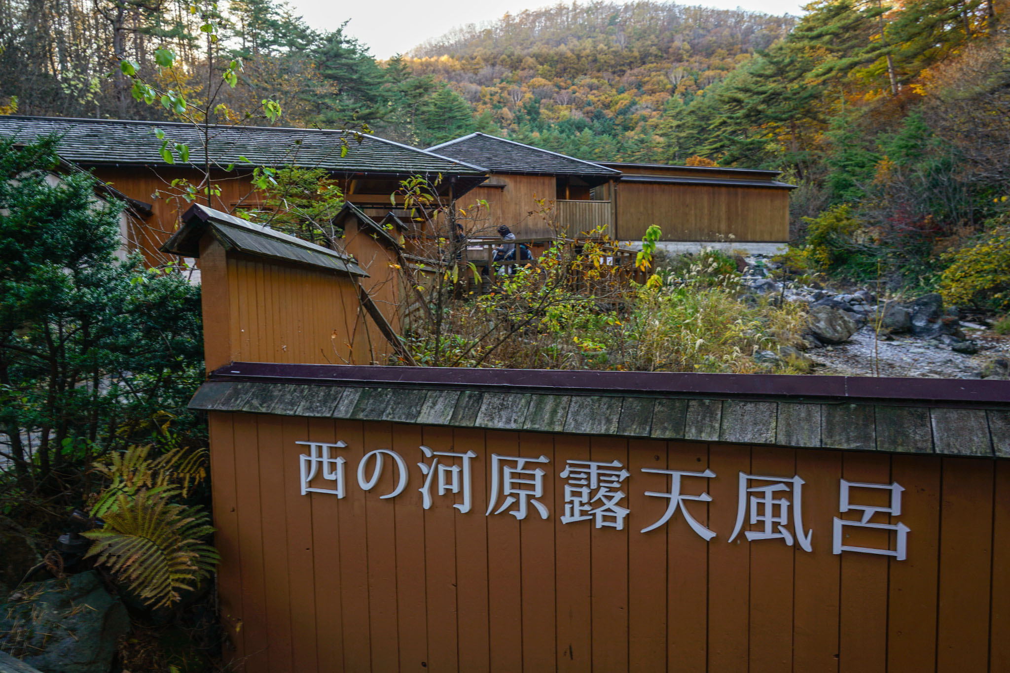 f:id:ALNEA:20191118235934j:plain f:id:ALNEA:20191118235934j:plain
