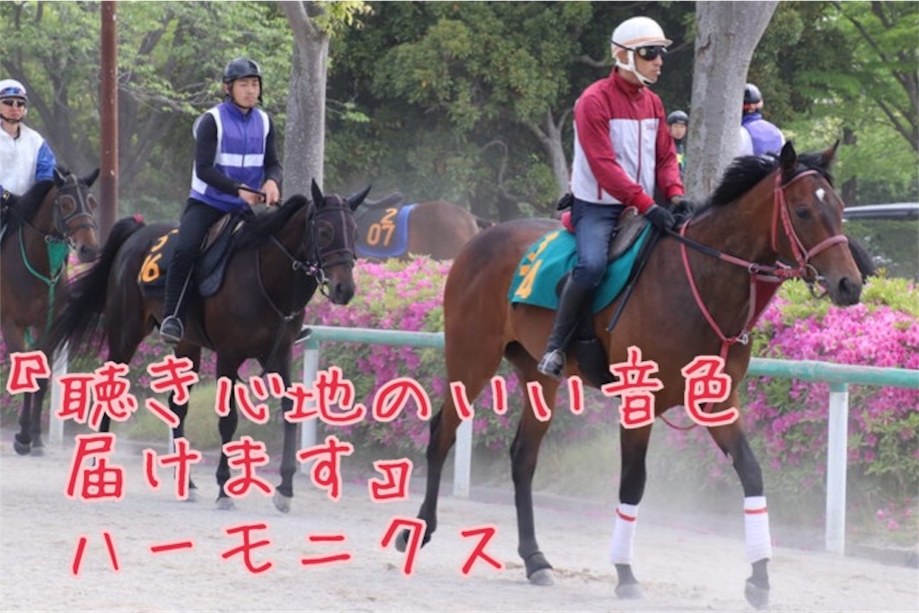 f:id:AMANISTA:20190717211434j:image f:id:AMANISTA:20190717211434j:image