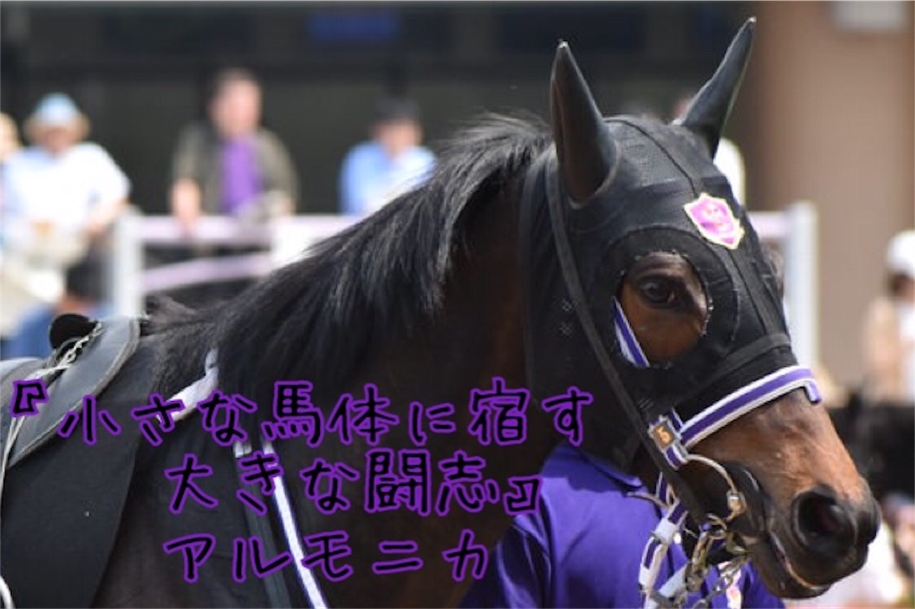 f:id:AMANISTA:20190717214244j:image f:id:AMANISTA:20190717214244j:image
