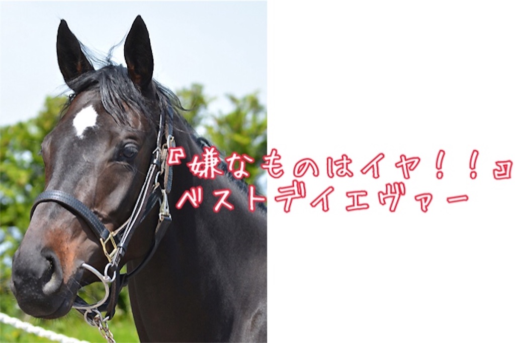 f:id:AMANISTA:20190717220650j:image f:id:AMANISTA:20190717220650j:image