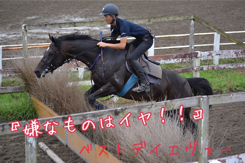 f:id:AMANISTA:20200221080623j:image f:id:AMANISTA:20200221080623j:image