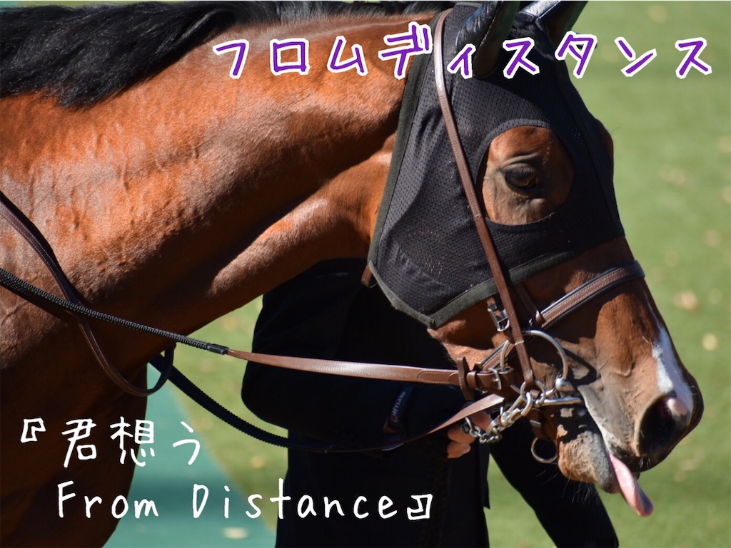 f:id:AMANISTA:20210114084006j:image