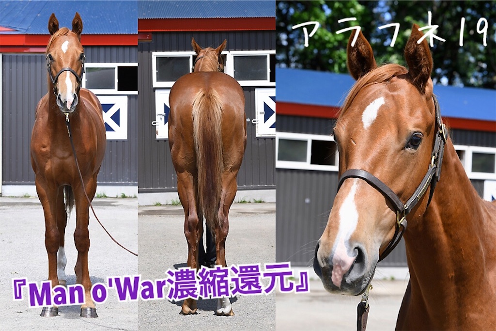 f:id:AMANISTA:20210127090115j:image