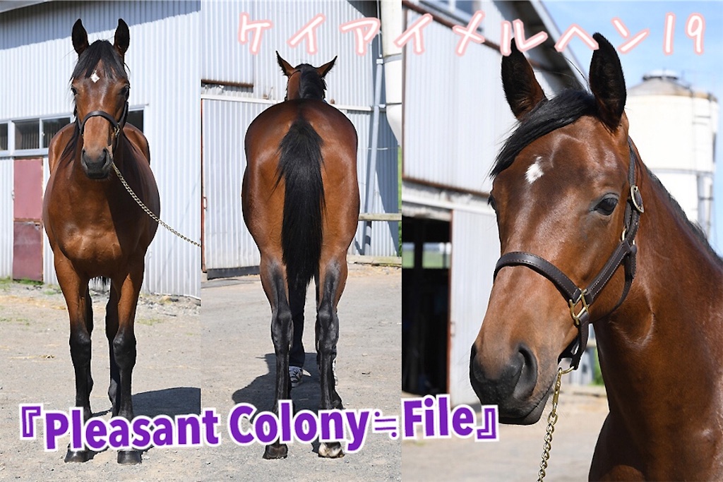 f:id:AMANISTA:20210127090134j:image