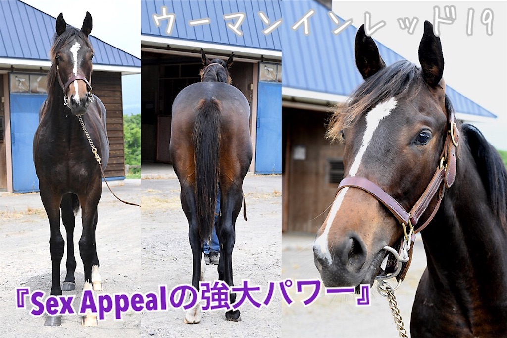 f:id:AMANISTA:20210127090138j:image