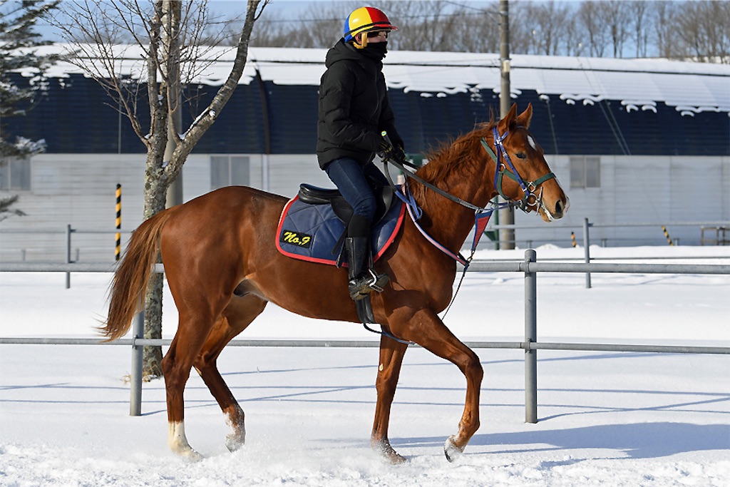 f:id:AMANISTA:20210127090710j:image