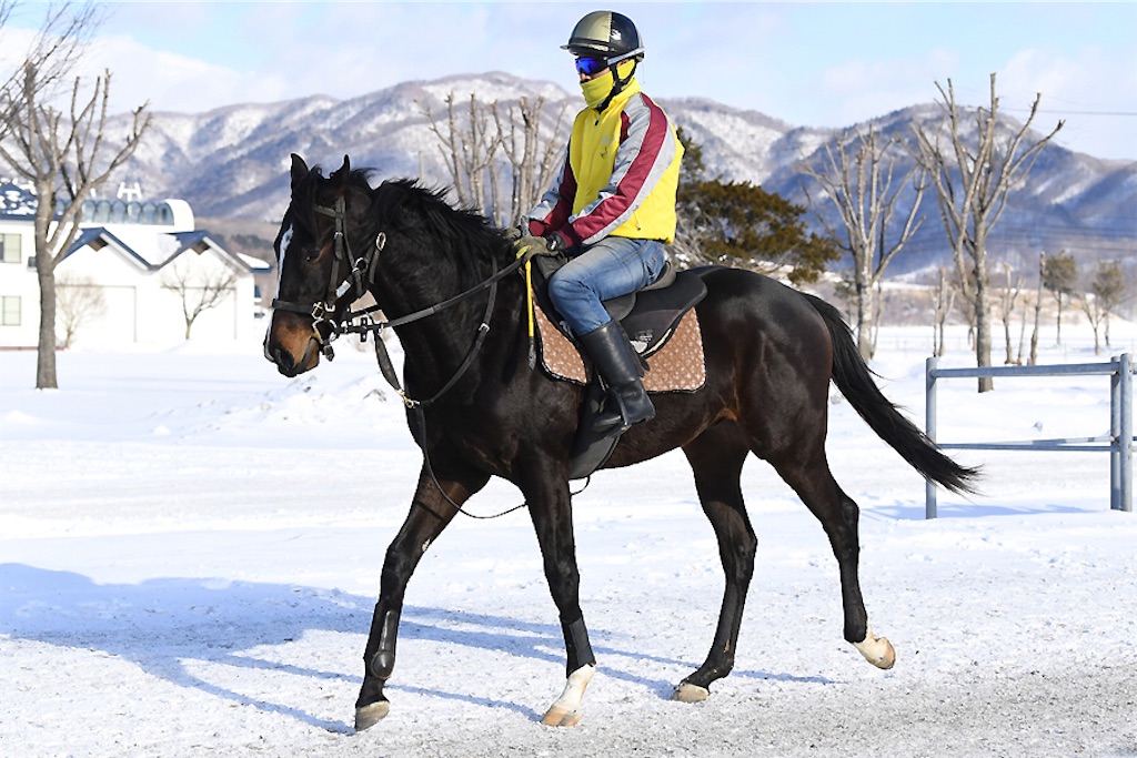 f:id:AMANISTA:20210127090909j:image