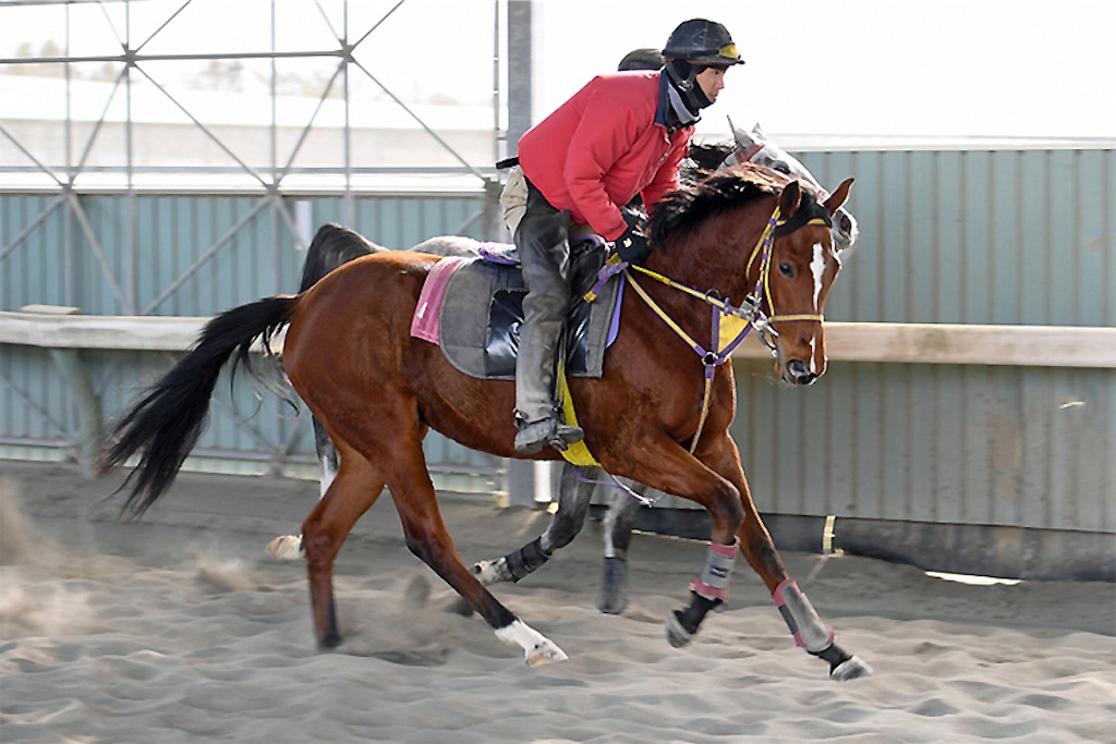 f:id:AMANISTA:20210127091106j:image