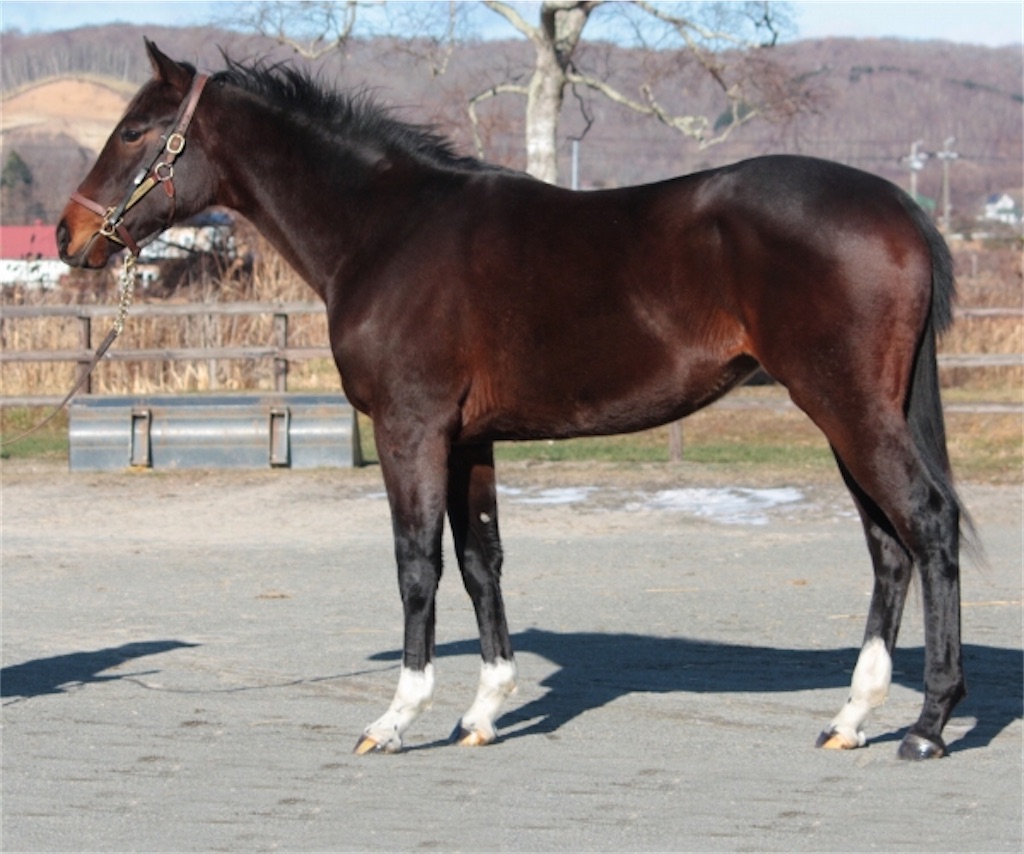 f:id:AMANISTA:20210127091448j:image