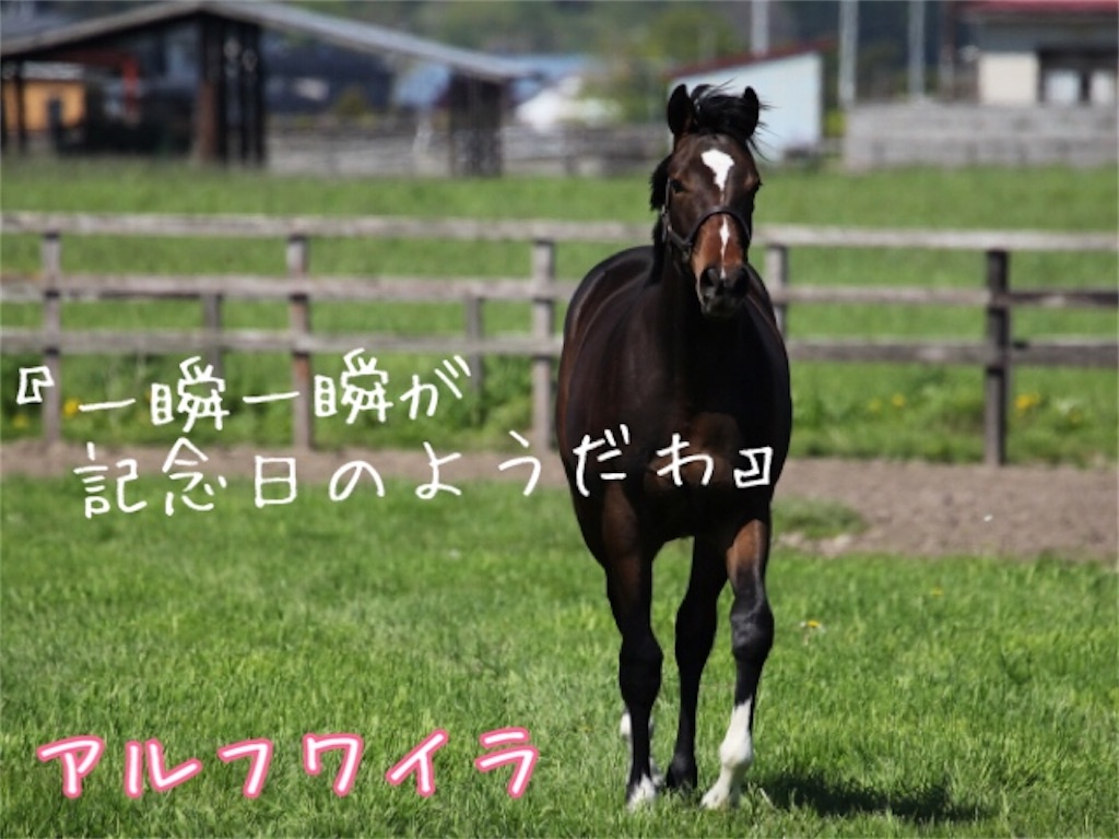 f:id:AMANISTA:20210525181611j:image