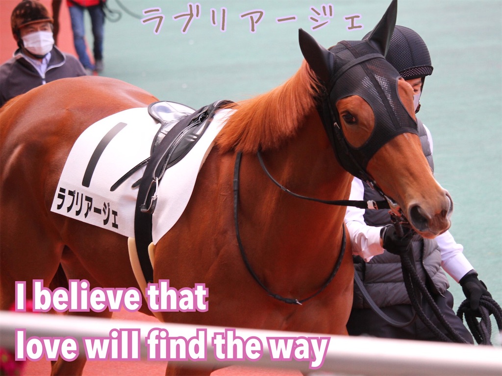 f:id:AMANISTA:20220512122427j:image f:id:AMANISTA:20220512122427j:image