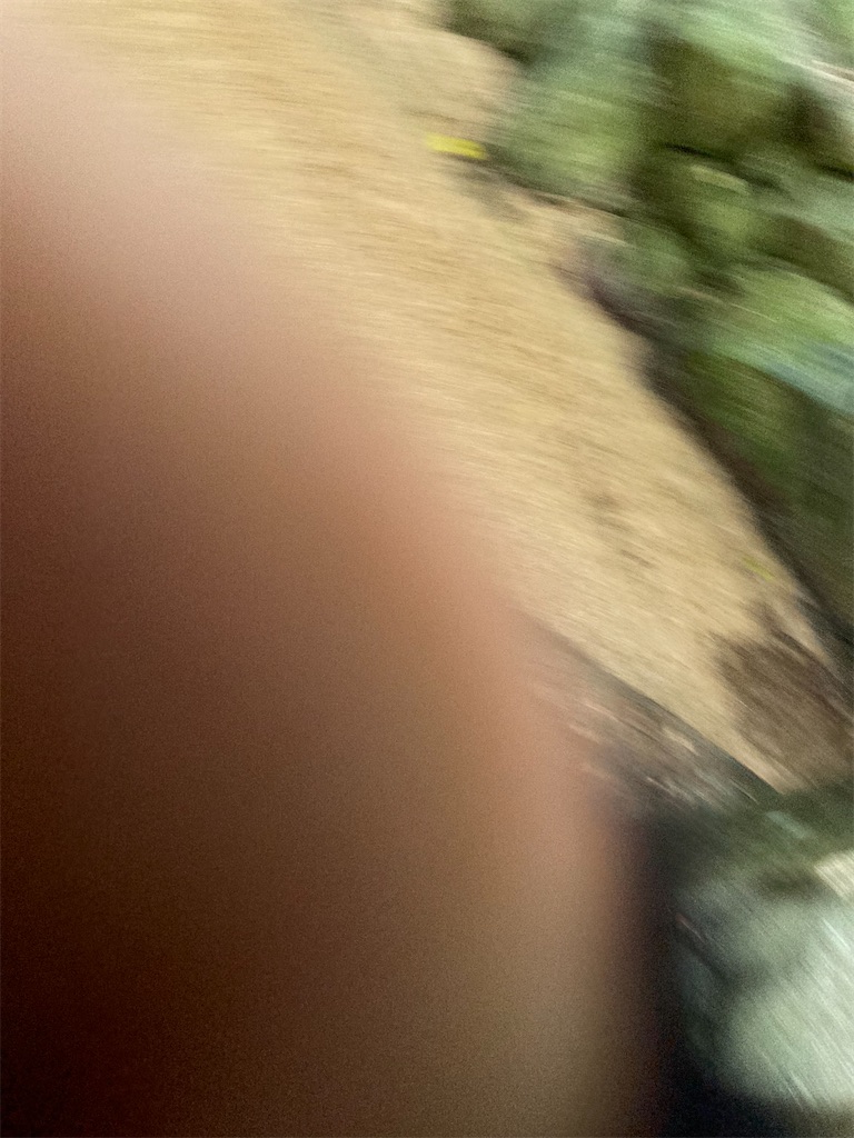 f:id:AMATA:20220529202517j:image f:id:AMATA:20220529202517j:image
