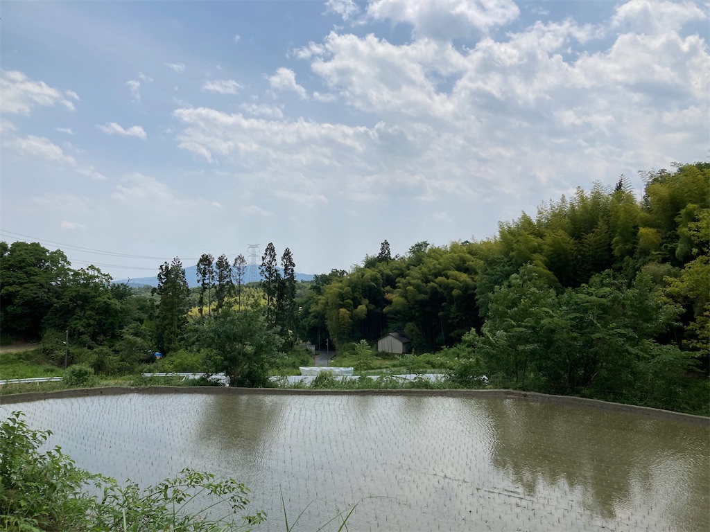 f:id:AMATA:20220529202527j:image f:id:AMATA:20220529202527j:image