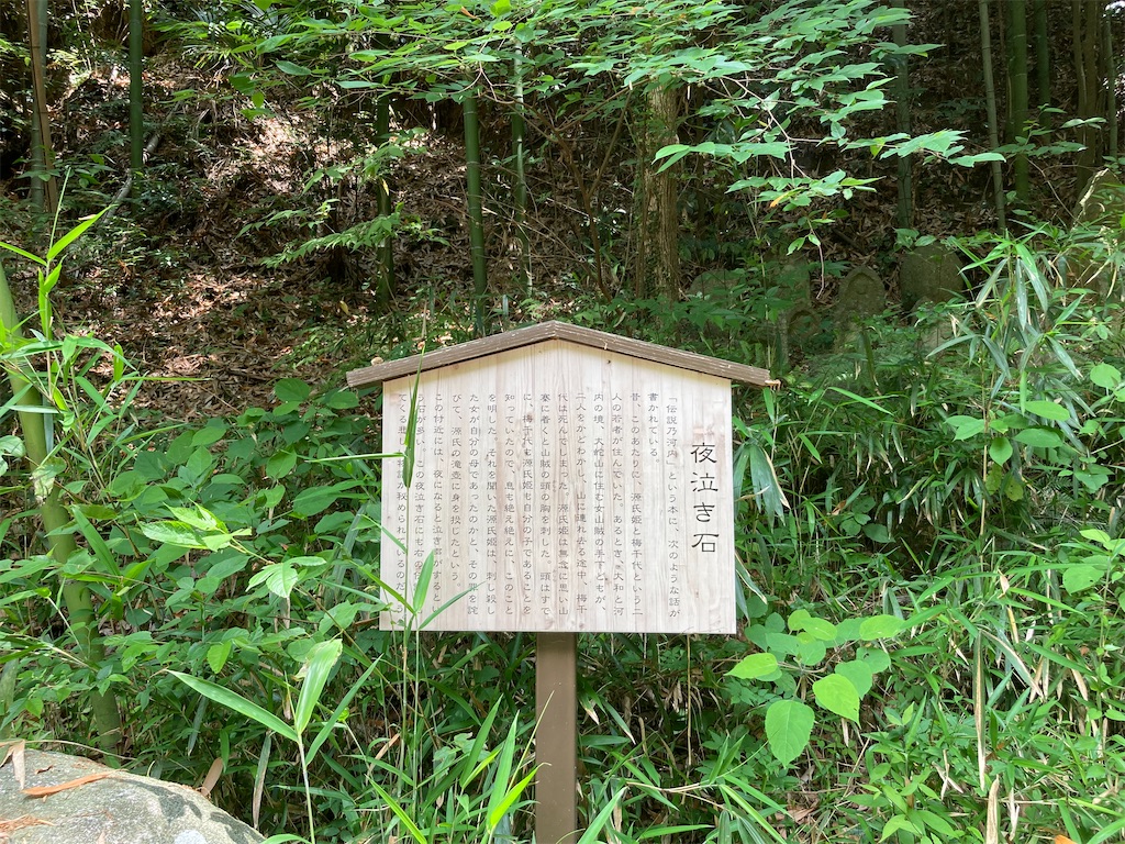 f:id:AMATA:20220529202530j:image f:id:AMATA:20220529202530j:image