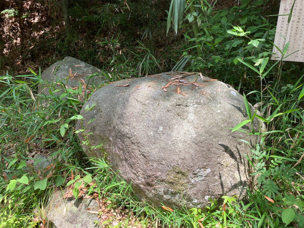 f:id:AMATA:20220529202556j:image f:id:AMATA:20220529202556j:image