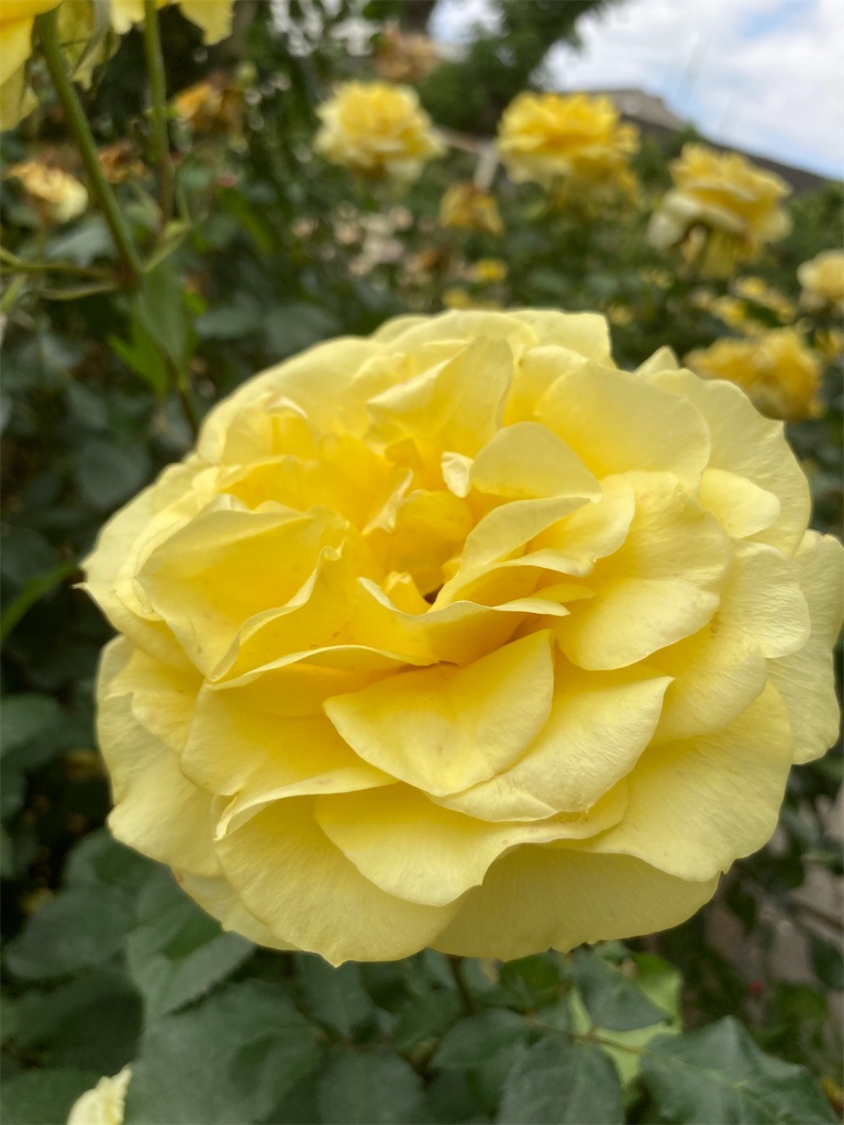 f:id:AMATA:20230526010129j:image