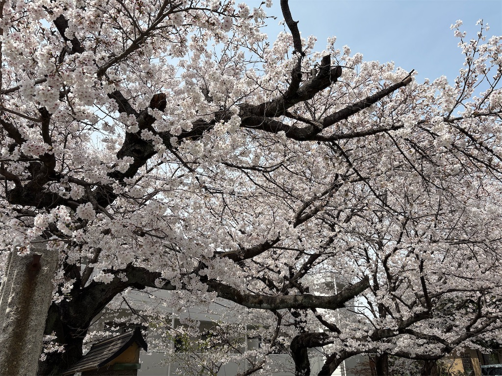 f:id:AMATA:20250405211901j:image