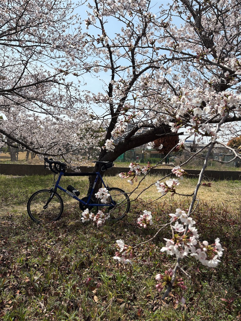 f:id:AMATA:20250405211929j:image