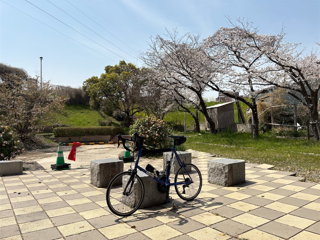 f:id:AMATA:20250405211933j:image