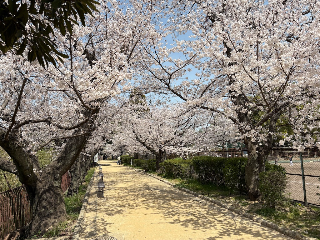 f:id:AMATA:20250405211938j:image