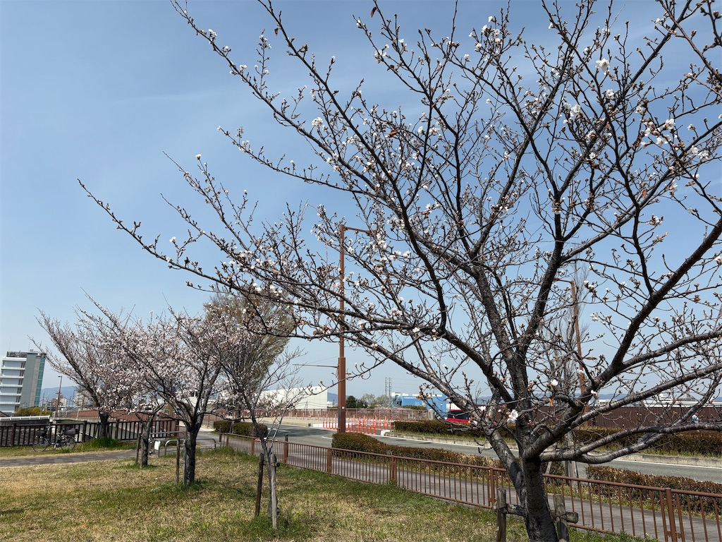 f:id:AMATA:20250405211942j:image