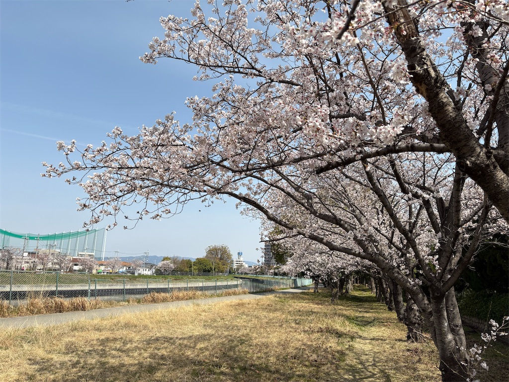 f:id:AMATA:20250405211946j:image