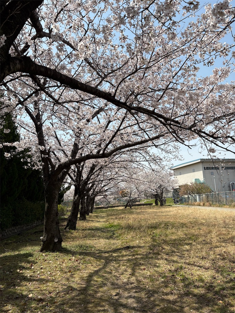 f:id:AMATA:20250405211958j:image
