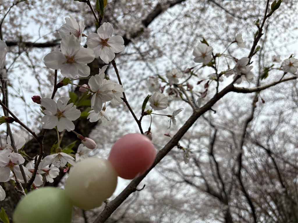 f:id:AMATA:20250405212018j:image