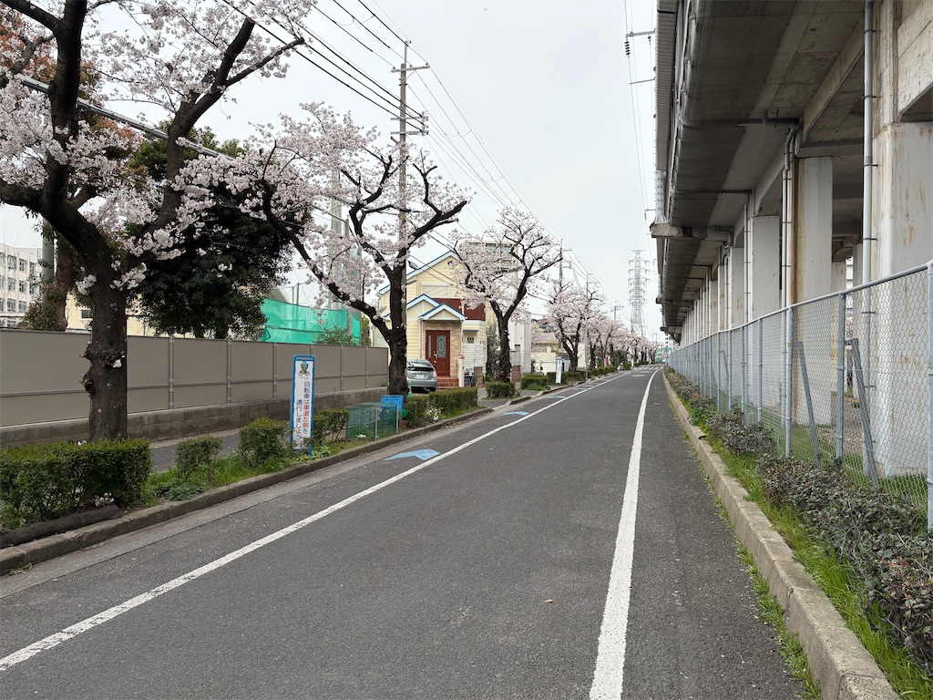 f:id:AMATA:20250405212028j:image