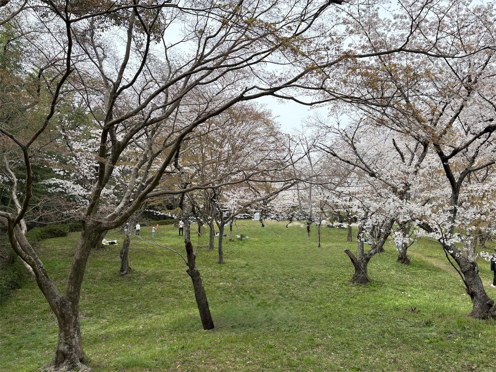 f:id:AMATA:20250405212033j:image