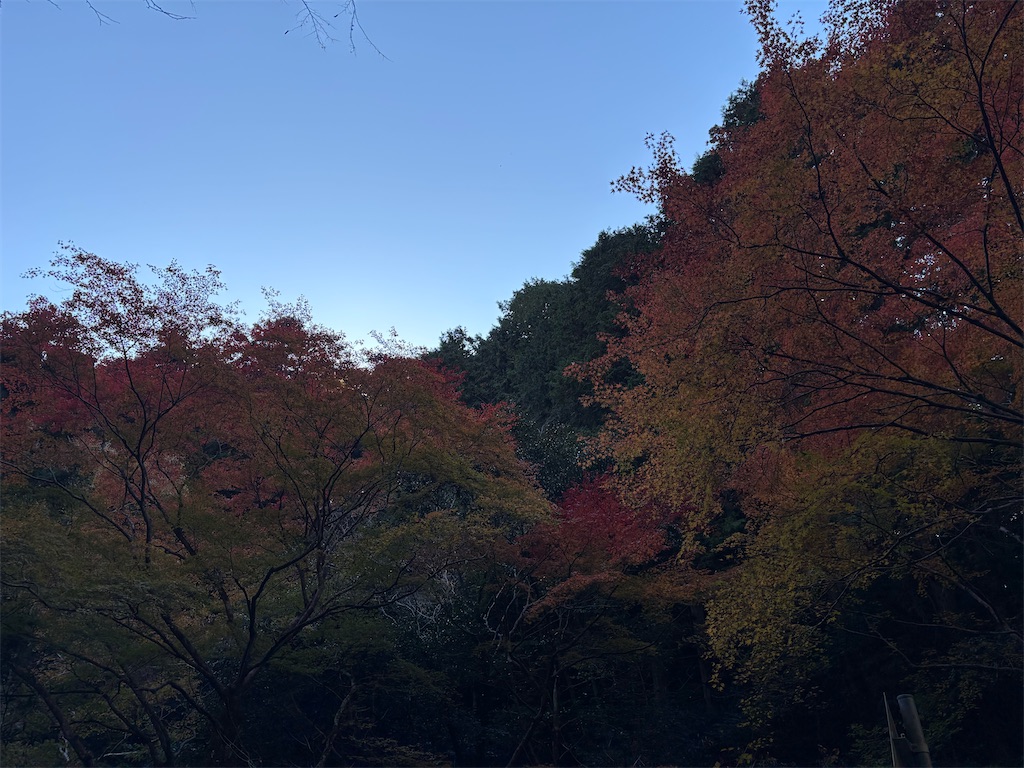 f:id:AMATA:20251116192831j:image f:id:AMATA:20251116192831j:image
