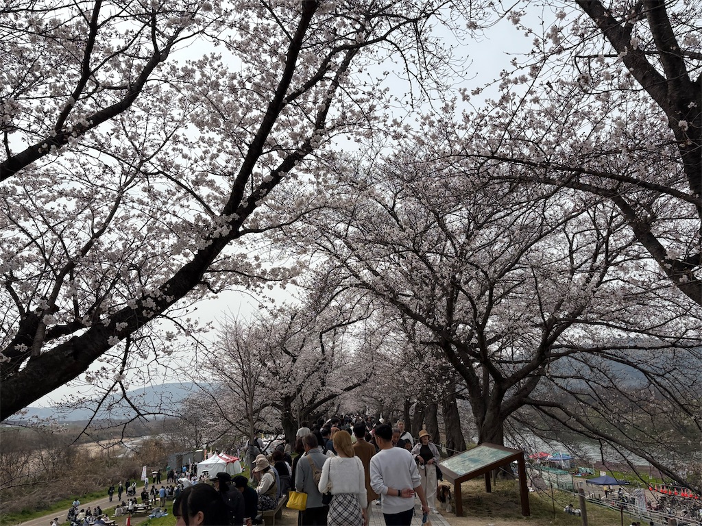 f:id:AMATA:20260503172257j:image