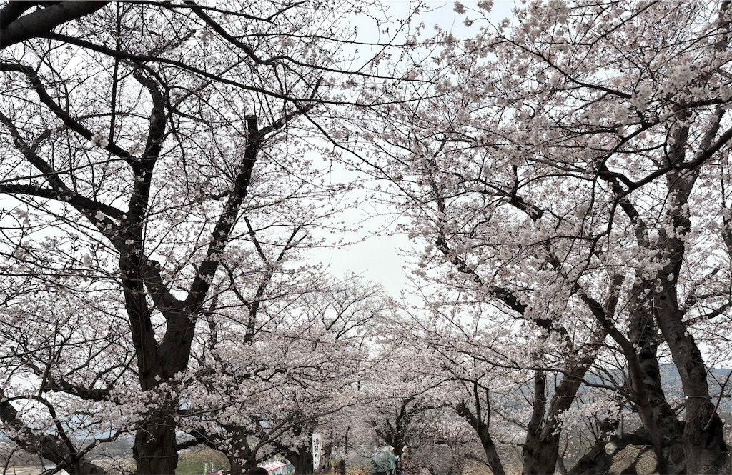 f:id:AMATA:20260503172308j:image