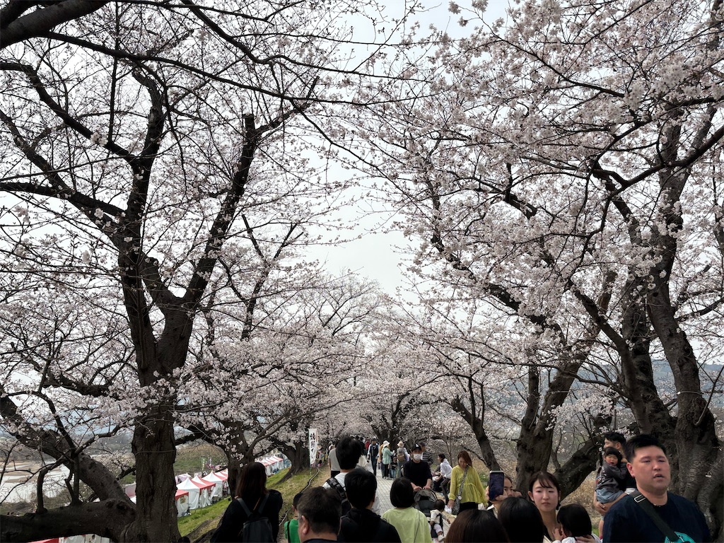 f:id:AMATA:20260503172334j:image