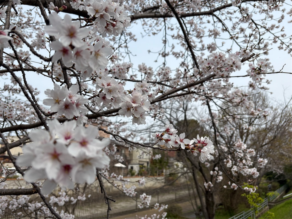 f:id:AMATA:20260503172337j:image