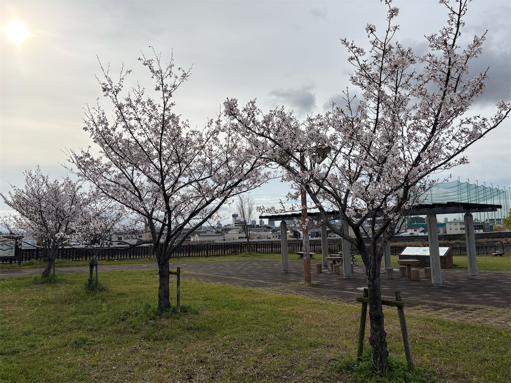 f:id:AMATA:20260503173528j:image